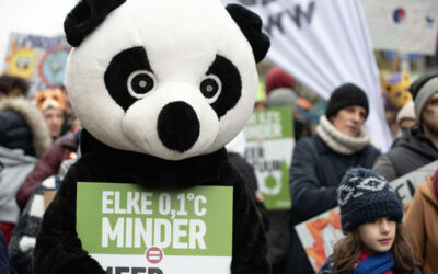 Panda’s at the climate march